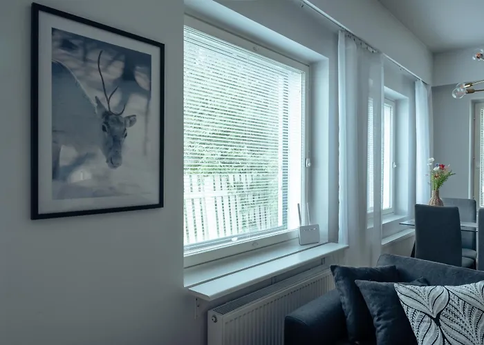 Rudolf's Secret Hideout * 로바니에미